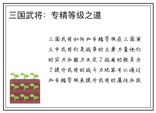 三国武将：专精等级之道