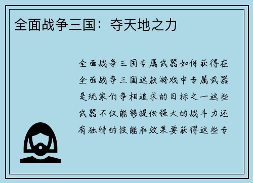 全面战争三国：夺天地之力